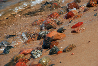 обоя разное, ракушки,  кораллы,  декоративные и spa-камни, волна, море, берег