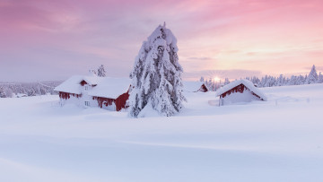 Картинка природа зима дома ель солнце снег норвегия