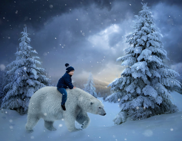 Обои картинки фото разное, дети, мальчик, зима, белый, медведь