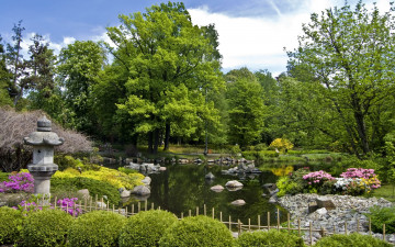 Картинка польша вроцлав природа парк кусты цветы пруд дорожки
