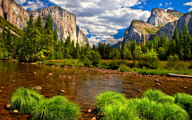 Обои картинки фото природа, реки, озера, каменистое, дно, трава, река, лес, горы