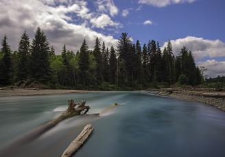 Картинка hoh river olympic national park washington природа реки озера лес река хох национальный парк олимпик