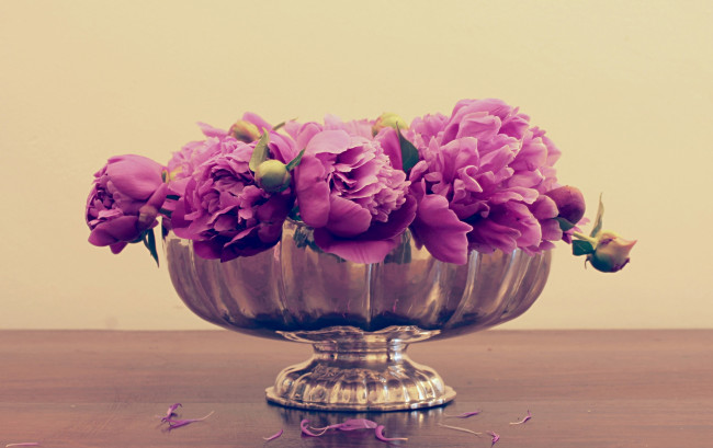 Обои картинки фото цветы, пионы, розовый, ваза