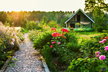 Картинка природа парк клумбы сад дорожка цветы