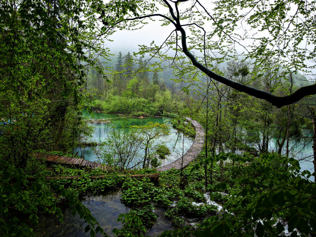 Обои картинки фото природа, реки, озера, река, лес