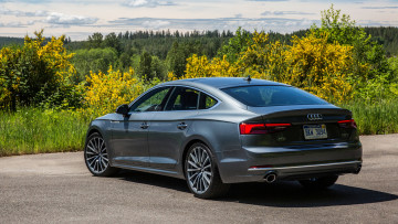 Картинка audi+a5+sportback+2018 автомобили audi 2018 sportback a5