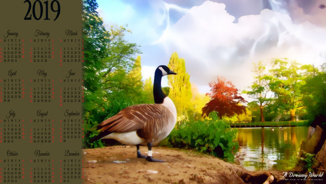 Обои картинки фото календари, компьютерный дизайн, 2019, calendar, растение, водоем, природа, утка, птица