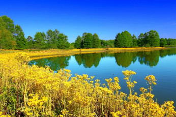 Картинка illinois+state+park природа реки озера illinois state park