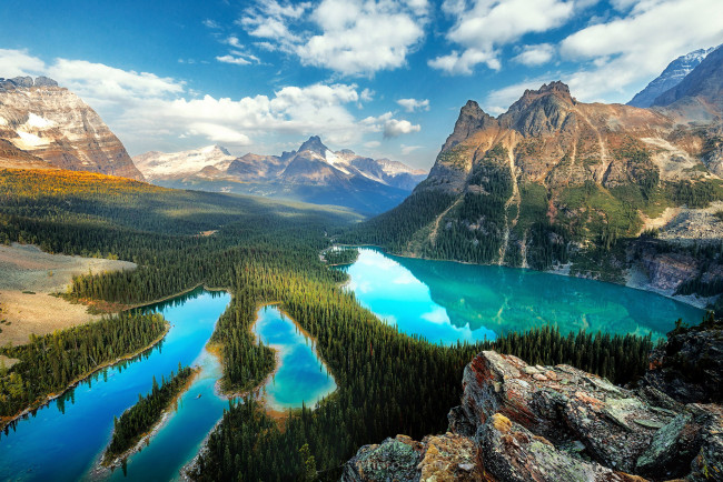 Обои картинки фото o`hara lake, british columbia, природа, реки, озера, o'hara, lake, british, columbia