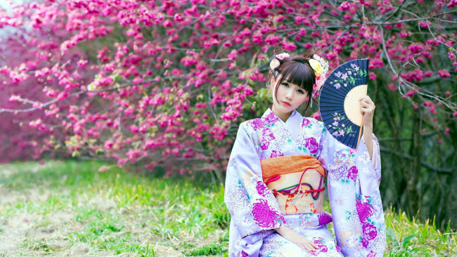 Обои картинки фото девушки, - азиатки, азиатка, кимоно, веер, цветущий, сад, весна