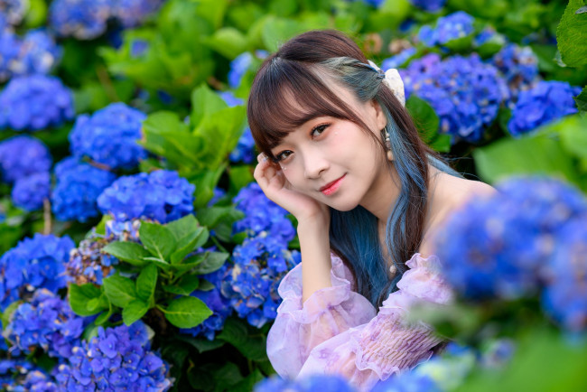 Обои картинки фото девушки, - азиатки, азиатка, цветы, гортензия, синяя
