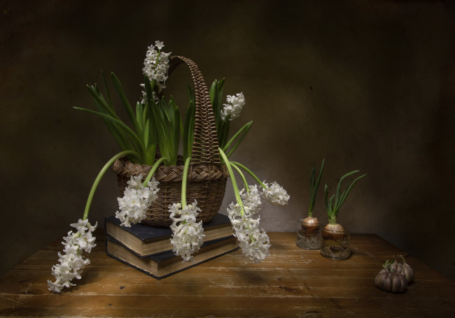 Обои картинки фото цветы, гиацинты, книги, корзинка, белые