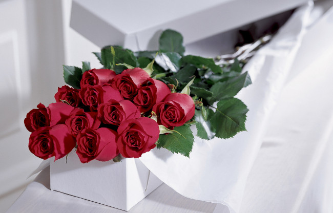 Обои картинки фото цветы, розы, коробка, бутоны