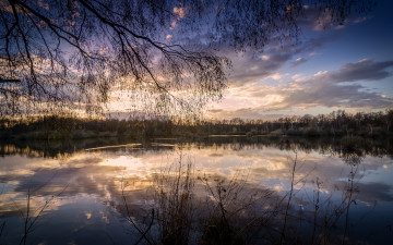 Картинка природа реки озера лес озеро отражение вода небо ветви