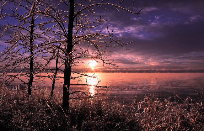 Обои картинки фото природа, восходы, закаты, зима, лед, трава, деревья, озеро
