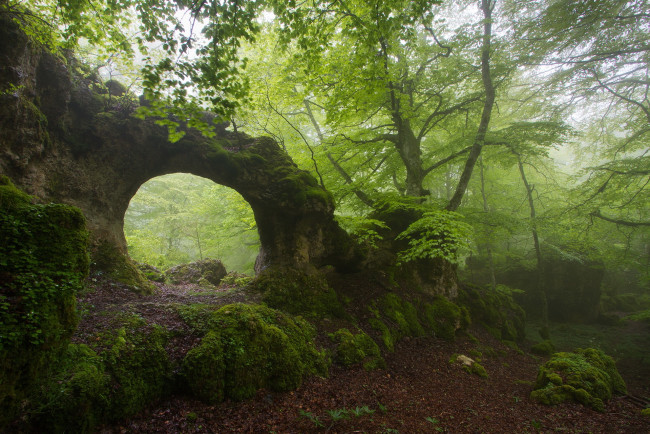 Обои картинки фото природа, лес, скала, арка, туман, лето