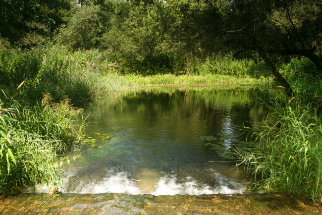 Обои картинки фото природа, реки, озера, германия, бавария, река, лето, деревья, трава