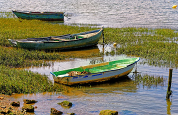 Картинка корабли лодки +шлюпки водоем камни трава