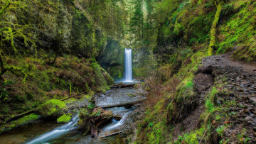 Картинка природа водопады водопад columbia river gorge wiesendanger falls