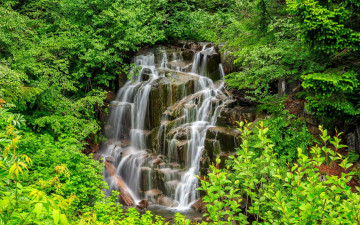 Картинка природа водопады лес деревья водопад речка скалы