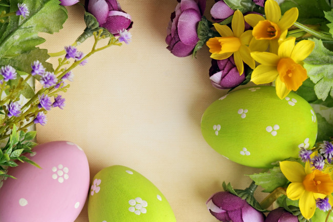 Обои картинки фото праздничные, пасха, цветы, яйцо, нарцисс