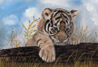 Картинка рисованное животные тигренок фон взгляд