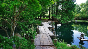 Картинка природа реки озера деревянный причал выше вода между зеленый деревья отражение на пруду