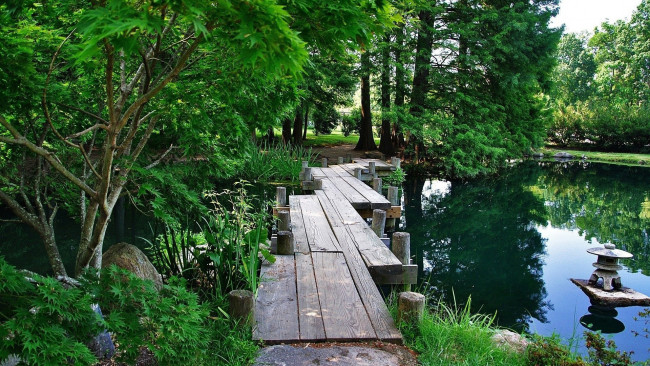 Обои картинки фото природа, реки, озера, деревянный, причал, выше, вода, между, зеленый, деревья, отражение, на, пруду