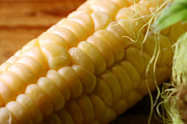 Обои картинки фото еда, кукуруза, початок, зерна, макро