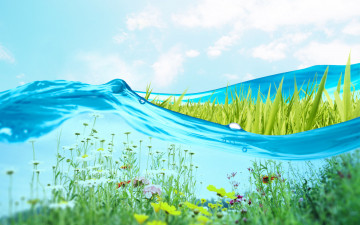 Картинка разное компьютерный дизайн цветы трава вода