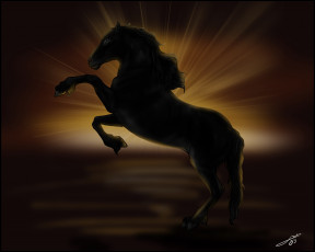 Картинка рисованные животные лошади лошадь закат