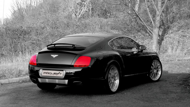 Обои картинки фото bentley, continental, gt, автомобили, великобритания, элитные, премиум-класс, motors