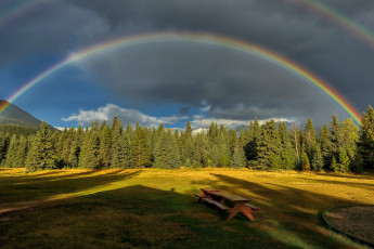 Картинка природа радуга горы лужайка лес