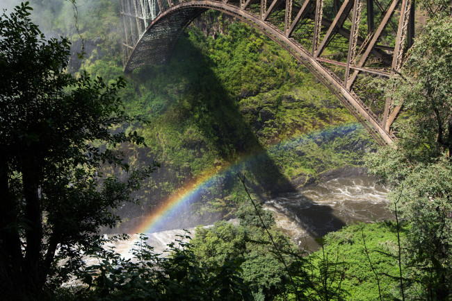Обои картинки фото природа, радуга, мост, зелень, растения, река, деревья