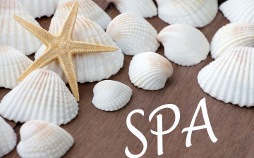 Картинка разное ракушки +кораллы +декоративные+и+spa-камни starfish seashells relax wellness still life spa