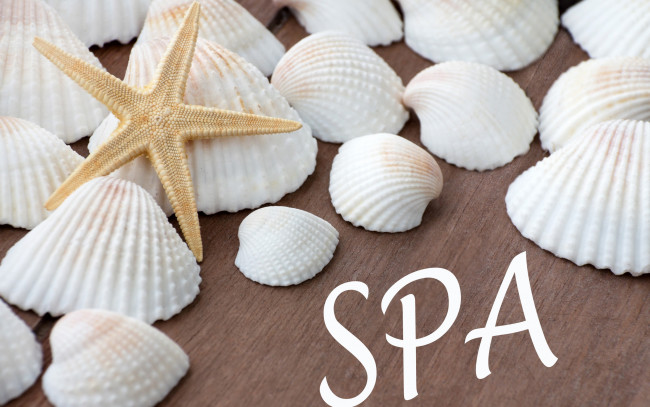 Обои картинки фото разное, ракушки,  кораллы,  декоративные и spa-камни, starfish, seashells, relax, wellness, still, life, spa