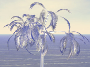 Картинка 3д графика nature landscape природа листья пальмы море серый