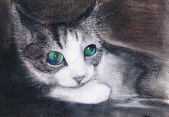Картинка рисованные животные глаза кошка