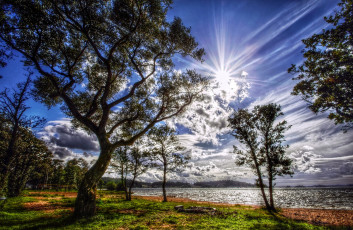 Картинка природа деревья небо солнце вода