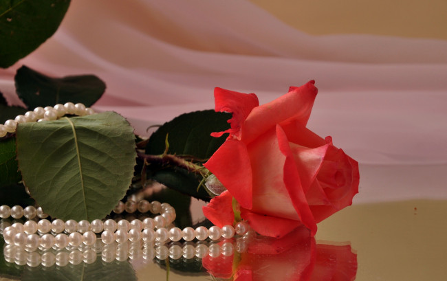 Обои картинки фото авт, nezabudka, fn, цветы, розы, ожерелье
