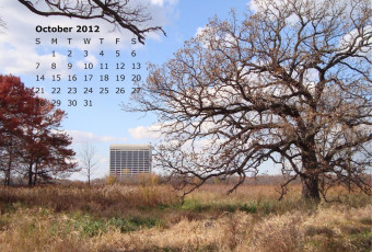 обоя календари, природа, дерево, осень