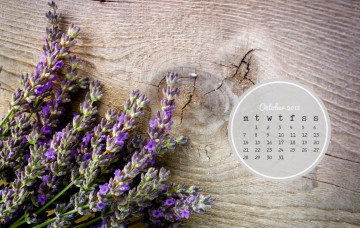 Картинка календари цветы лаванда