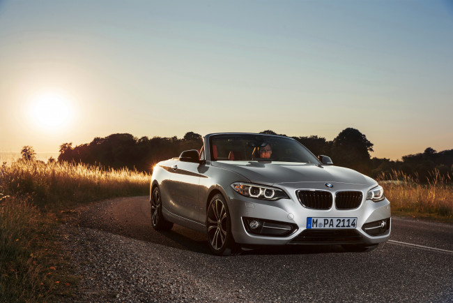 Обои картинки фото 2014 bmw 228i f23 convertible, автомобили, bmw, дорога, серебристый, ночь, кабриолет