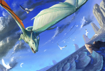 Картинка фэнтези драконы чайки скалы крылья птица полет сова дракон море