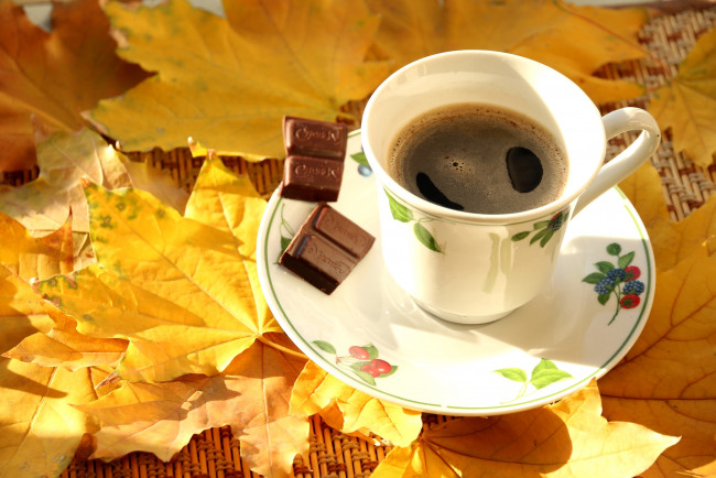 Обои картинки фото еда, кофе,  кофейные зёрна, клен, листья, осень, шоколад, чашка