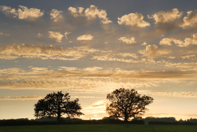 Обои картинки фото природа, восходы, закаты, деревья, закат, облака, небо