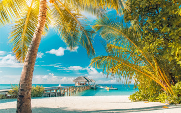 Картинка природа тропики sea песок пляж sand море summer tropical пальмы paradise берег island palms beach солнце