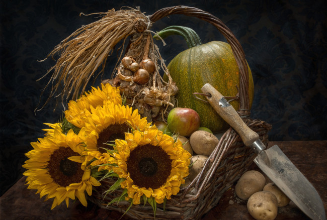 Обои картинки фото еда, натюрморт, лук, подсолнухи, картофель, нож, тыква, яблоко