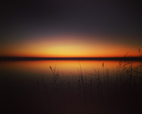 Картинка природа восходы закаты камыши озеро горизонт закат