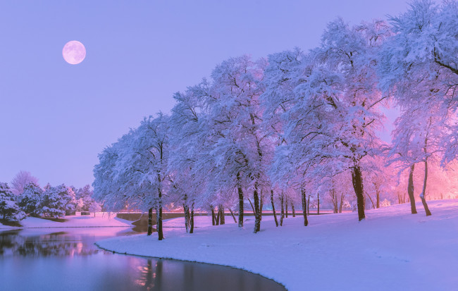 Обои картинки фото природа, зима, река, снег, деревья, вечер, луна